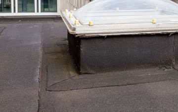 disadvantages of Porthallow flat roofs